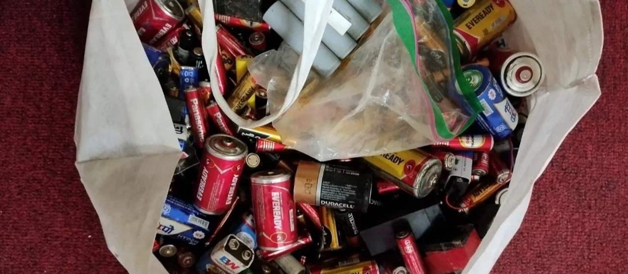 Better Battery Waste Management with Sorting Swans