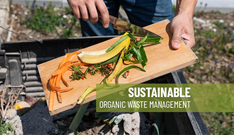 Pit Composting and Windrow Composting for Sustainable Organic Waste Management