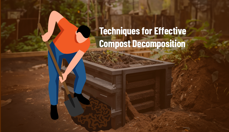 Techniques for Effective Compost Harnessing ESR Principles for Longterm Success